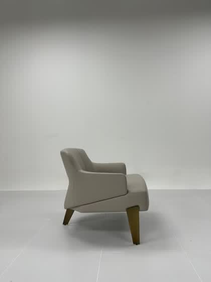 TY LOUNGE CHAIR 012 休闲椅 定制家具
